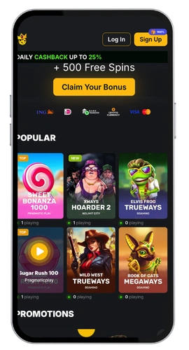 Kaasino official